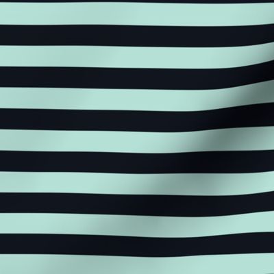 Pastel Mint Awning Stripe Pattern Horizontal in Midnight Black