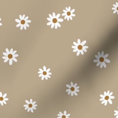 13-5 daisies