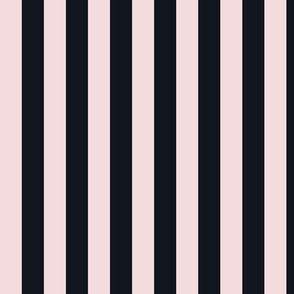 Rosewater Pink Awning Stripe Pattern Vertical in Midnight Black