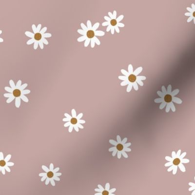 51-4 daisies
