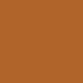 Solid Orange Brown Terracotta