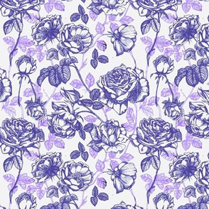 Violet roses Toile de Jouy