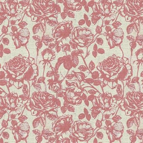 Coral roses Toile de Jouy