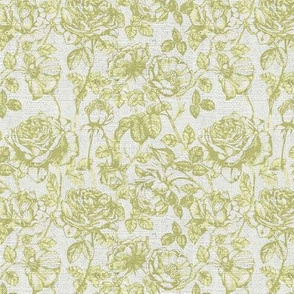 Green roses Toile de Jouy