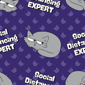 Social Distancing EXPERT - large on purple