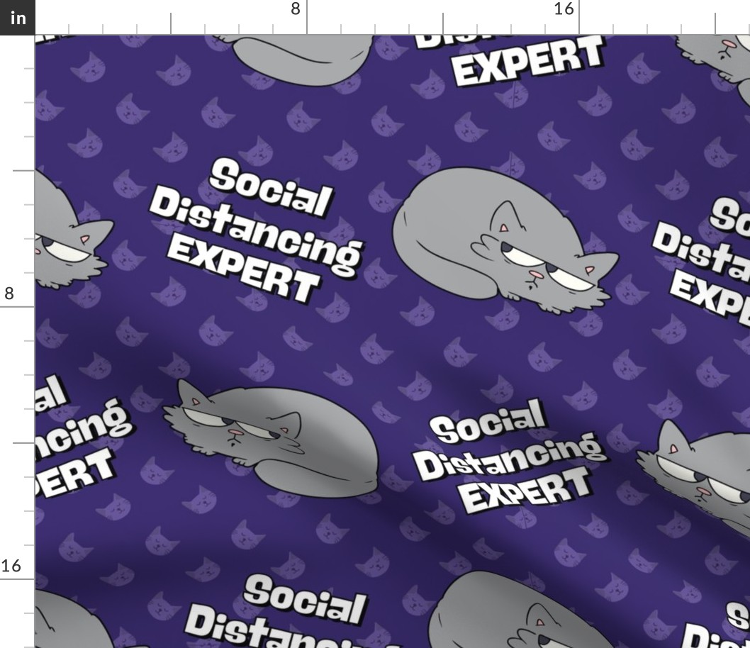 Social Distancing EXPERT - large on purple