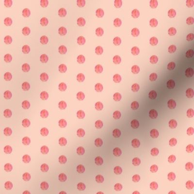 Texas Modern Dot Pink