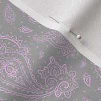 Bandana Paisley Pink on Gray DreamBox from Create Room Design Challenge