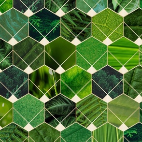 hexagons with texture - green