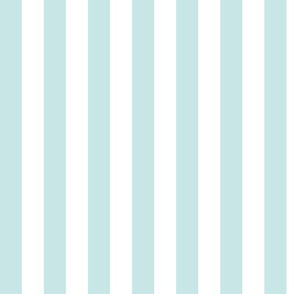 Light Cyan Awning Stripe Pattern in Vertical in White