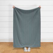 Light Cyan Awning Stripe Pattern Vertical in Midnight Black