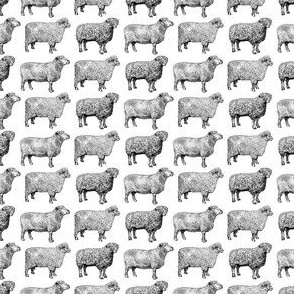 Vintage Sheep Pattern (Mini Scale)