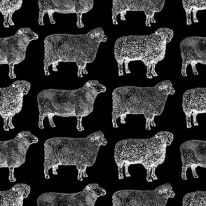 Vintage Sheep Pattern on Black (Large Scale)