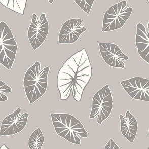 Taro Leaf - Grey