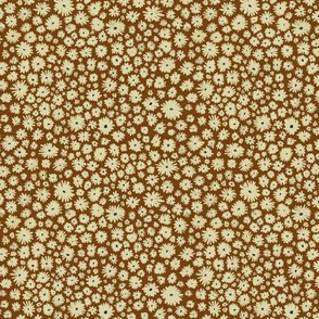 Chamomile on rich brown background