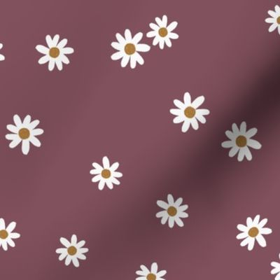 67-11 daisies