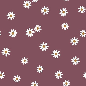 67-11 daisies