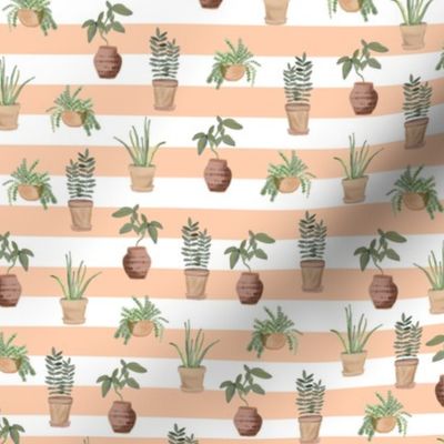 Plant lady | pattern | coral stripe