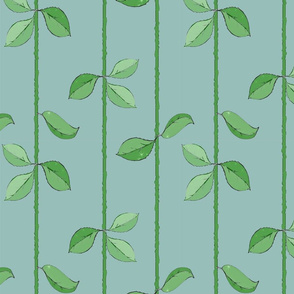 leaves on aqua med