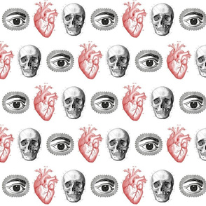 Eye Heart Skulls