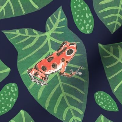 the world of poison dart frogs