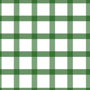 BKRD Dark Green Gingham Plaid 8x8