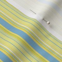 Yellow and Blue Stripes