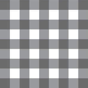 color of the year 2021 plaid gray