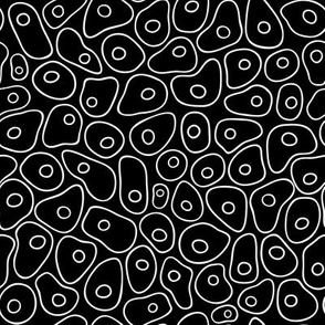 Microscopic Cells in Black & White