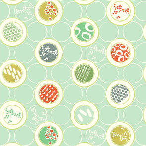 Pretty Petri Dishes - Mint - Large