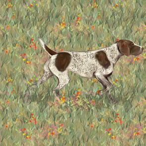 German Shorthaired Pointer on Wildflower Field for Pillow