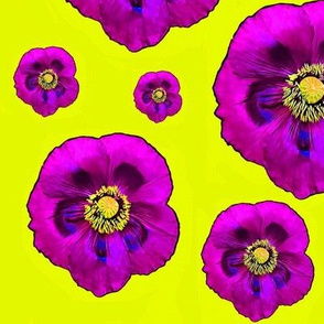 Flower Power Yellow / Purple