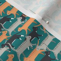 cats walking on teal