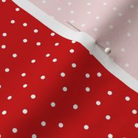 BKRD Red Holiday Polka Dots 5x5