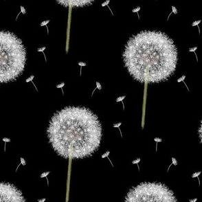 Your Wish come True, dandelion, blowball, floral, floral pattern, floral design, make a wish, Blowball seed, white Blowball, dandelion pattern, dandelion design, black and white, white dandelions