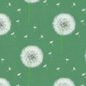 Dandelions, white dandelions, blowball, spring dandelion, white dandelion, fluffy dandelion, Blowball seed, white Blowball, dandelion pattern, dandelion design, dandelion seed, fly dandelion seeds, lucky dandelion, green background