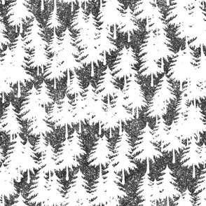 Winter forest, black and white, woodland, fir tree woods, snowy spruce, eco pattern, nature pattern, frosty, winter pattern, winter woods  
