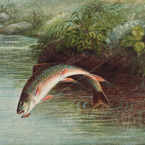Leaping Brook Trout by Samuel A. Kilbourne Minky