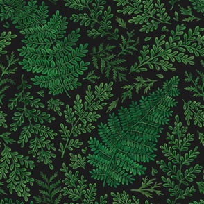 Ferns (large scale)