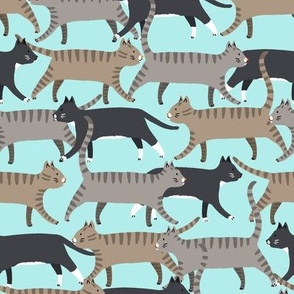 cats walking aqua (medium)