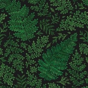 Ferns (small scale), dark and moody botanical