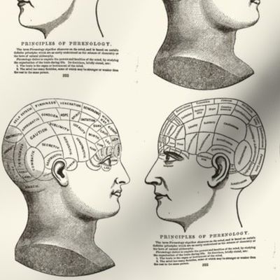 Principles of Phrenology Stare Down Black on Ivory
