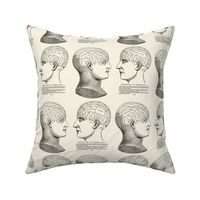Principles of Phrenology Stare Down Black on Ivory
