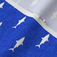 (small scale) sharks on blue - C20BS