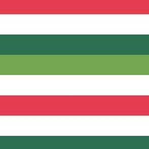 Red White and Green Christmas Stripes