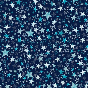 Winter stars Navy