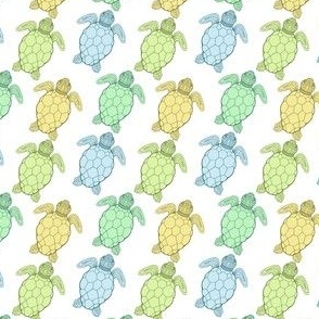 Sea turtles blue and green
