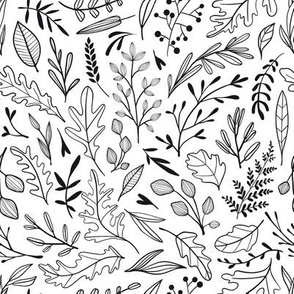 Hand drawn outline  leaves