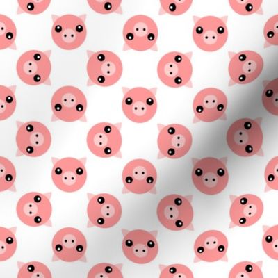 10889218 : pig polka