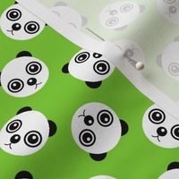 10889264 : panda polka green